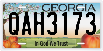 GA license plate QAH3173