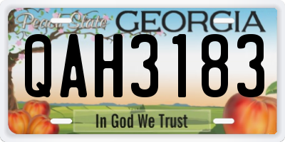 GA license plate QAH3183