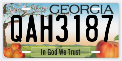 GA license plate QAH3187