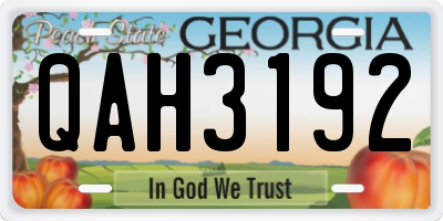 GA license plate QAH3192