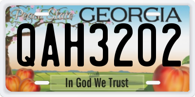 GA license plate QAH3202