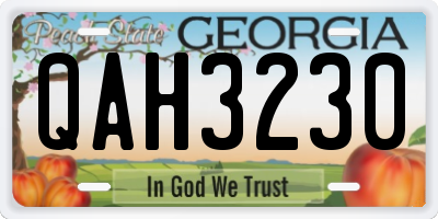 GA license plate QAH3230