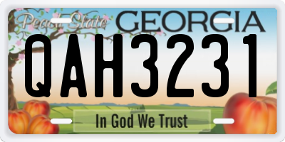 GA license plate QAH3231