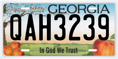 GA license plate QAH3239