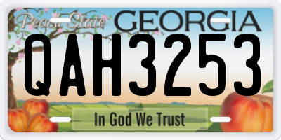 GA license plate QAH3253