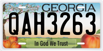 GA license plate QAH3263