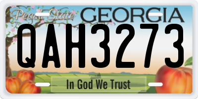 GA license plate QAH3273