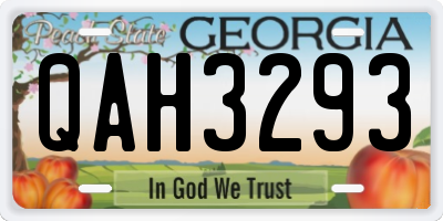 GA license plate QAH3293