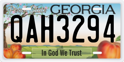 GA license plate QAH3294