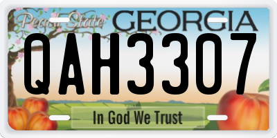 GA license plate QAH3307