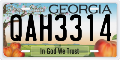GA license plate QAH3314