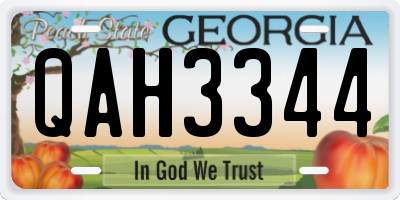 GA license plate QAH3344