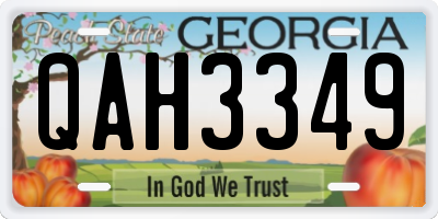 GA license plate QAH3349