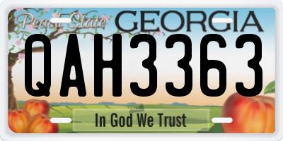 GA license plate QAH3363