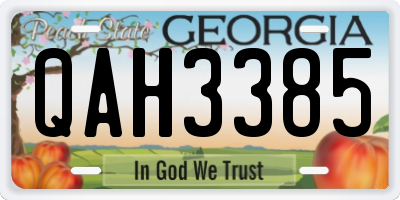GA license plate QAH3385
