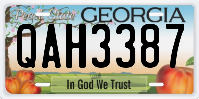 GA license plate QAH3387
