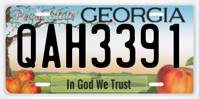 GA license plate QAH3391