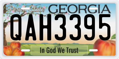 GA license plate QAH3395
