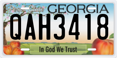 GA license plate QAH3418