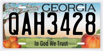 GA license plate QAH3428