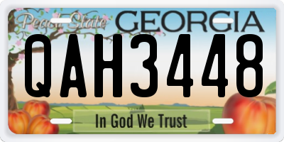 GA license plate QAH3448
