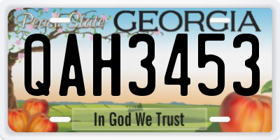 GA license plate QAH3453