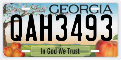 GA license plate QAH3493