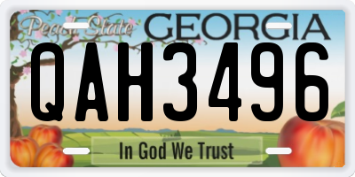 GA license plate QAH3496