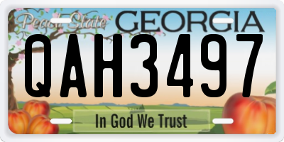 GA license plate QAH3497