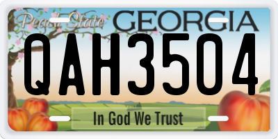 GA license plate QAH3504