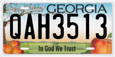GA license plate QAH3513