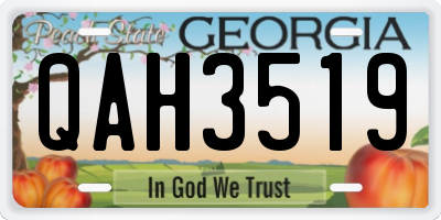 GA license plate QAH3519