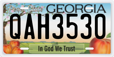 GA license plate QAH3530