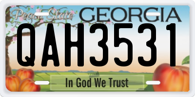 GA license plate QAH3531