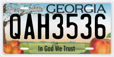 GA license plate QAH3536