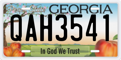 GA license plate QAH3541