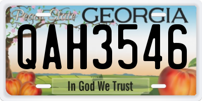 GA license plate QAH3546