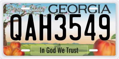 GA license plate QAH3549