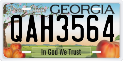 GA license plate QAH3564