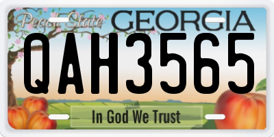 GA license plate QAH3565