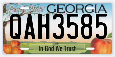 GA license plate QAH3585