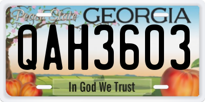 GA license plate QAH3603