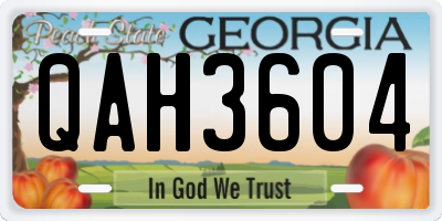 GA license plate QAH3604