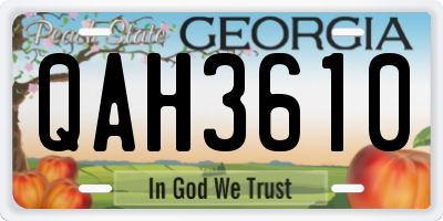 GA license plate QAH3610