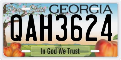 GA license plate QAH3624