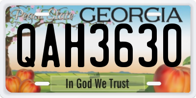 GA license plate QAH3630