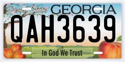 GA license plate QAH3639