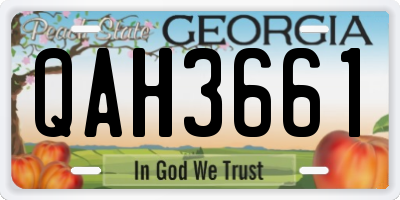 GA license plate QAH3661