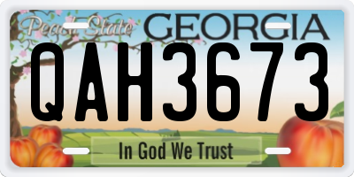 GA license plate QAH3673