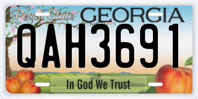 GA license plate QAH3691
